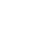 Tree stump